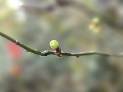 -宁波市保国寺古建筑博物馆