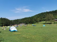 -武陵山森林公园