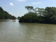 -大湾区中央湿地公园