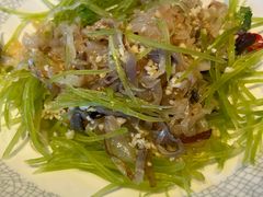 蜇皮拌笋丝-秦三驴(云飞街店)