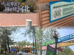 -秦皇岛野生动物园