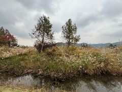 -东钱湖旅游度假区