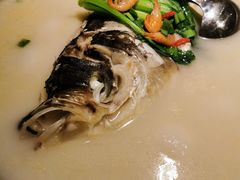 天目湖有机鱼头汤-嘉禾·悦享餐厅(八方汇店)