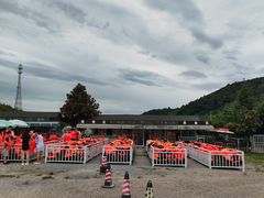 -天目湖松岭竹海漂流