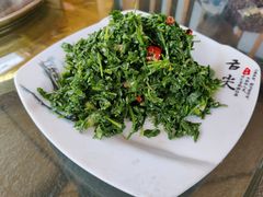-都江堰石锅鱼