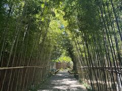 -新荣记(西溪湿地店)