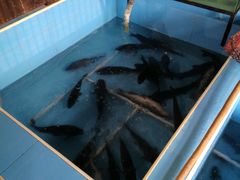 -金明姬铁锅炖(东坝店)