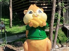 -欢乐松鼠谷