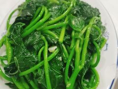 番薯叶-电白鸭粥店(下沙二坊88号店)