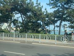 -青岛第一海水浴场