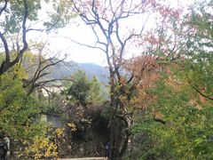 -塔川景区