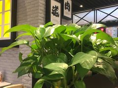 -无限双拼照烧双拼饭(和平店)
