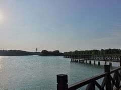 -南湖湿地公园