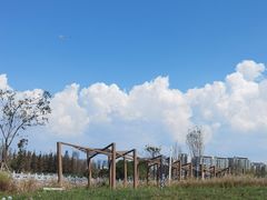 -呈贡滇池生态湿地公园