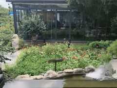 -蘇河湾·新鲁菜·泰山宴(泰山店)