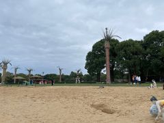 -上海月湖雕塑公园
