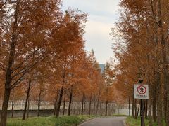 -上海山野camping·户外天幕烧烤·团建拓展营地