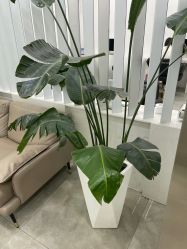-FOR YOU造型