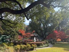 -申粤轩酒楼·三十年粤菜经典(丁香花园店)