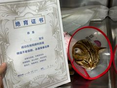 -宠福鑫动物医院(望京分院)