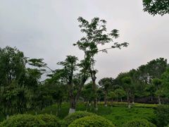 -五通灯塔公园
