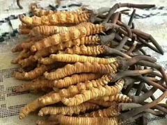 -叠溪松坪沟景区