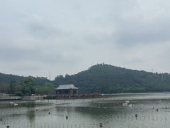 -顺峰山公园