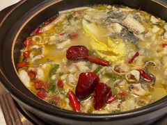 -周渝食惦酸菜鱼(青浦店)