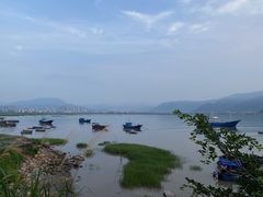 -北岐滩涂