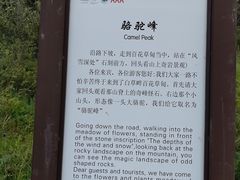 -白草畔自然风景区