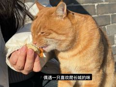 -雁门关景区