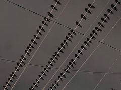 -万达广场(太原街店)