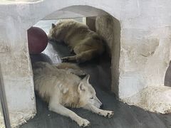 -南京海底世界