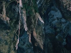 -三门海