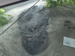 -延庆地质公园博物馆