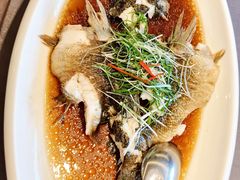 -骏莱海鲜鱼港(五角场店)
