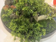 -月湖翠·上海菜(思南公馆淮海店)