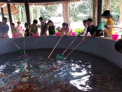 -杭州少年儿童公园