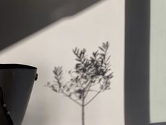 -Eu2+ coffee(上大路店)