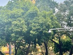 -圣约瑟夫大教堂