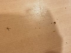 -西部马华清真兰州牛肉面·烧烤夜市(关东店)