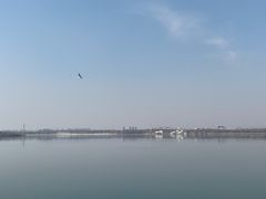 -丁香湖公园