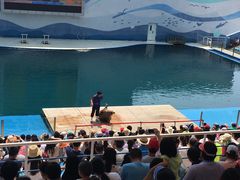 -北戴河圣蓝海洋公园