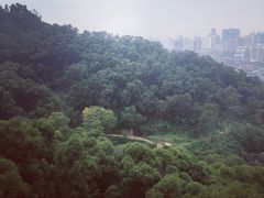 -金鸡山公园