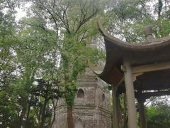 -江心屿景区