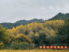 -玉渡山自然风景区