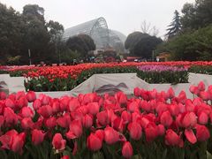 -南山植物园