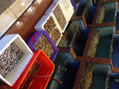 iphone_upload_pic-天天海鲜城·海鲜大排档(新溪店)