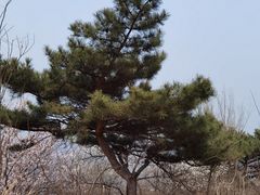 -封龙山风景区