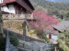 -韬光茶庵